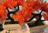 Bonsai Flower