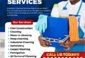 Expert Cleaning Services in Lekki