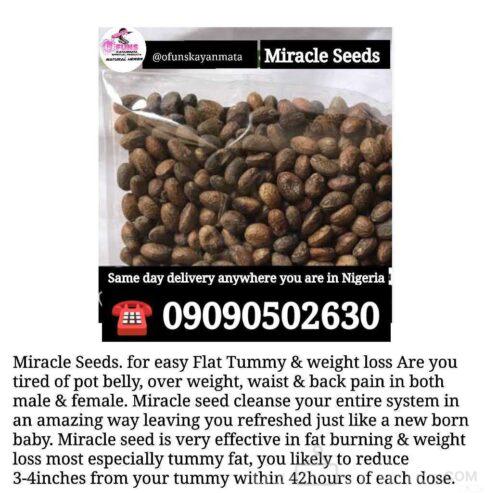 Miracle seed for flat tummy For Sale in Nigeria