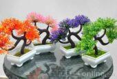 Bonsai Flower