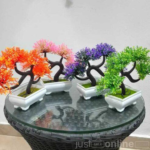 Bonsai Flower