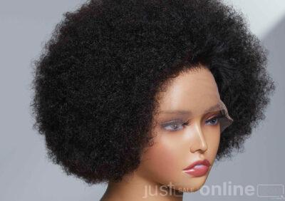 Afro-Human-Hair-Wig-