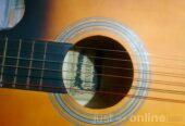 Acoustic guitar