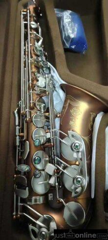 Pro Selmer Alto Sax For Sale – Ojo Alaba