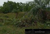 A distress sale of 1 full plot of land in Gbetu Awoyaya