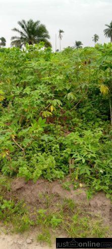 Land for sale -Eneka link road