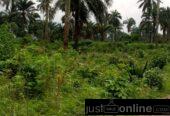 Land for sale -Eneka link road