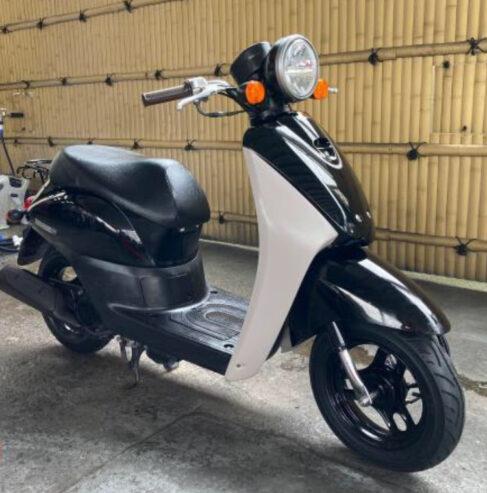 2019 Honda Today Mini Scooter Motorcycle