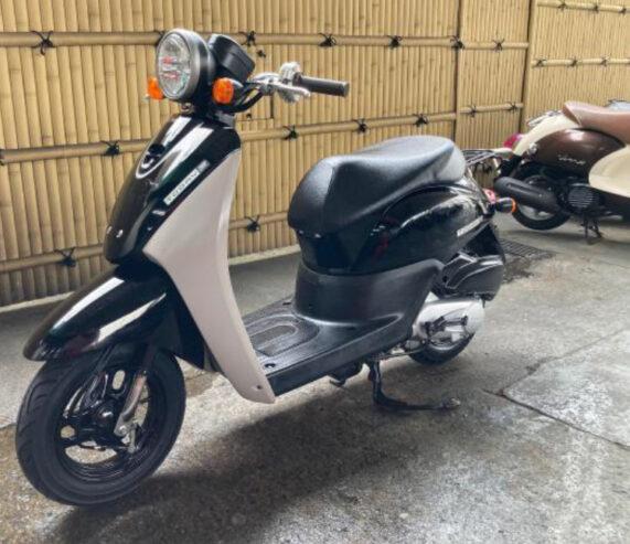 2019 Honda Today Mini Scooter Motorcycle