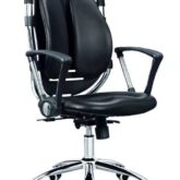 Executive office chairs