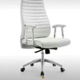 Executive office chairs