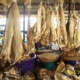 Stockfish For Sale in Oyingbo