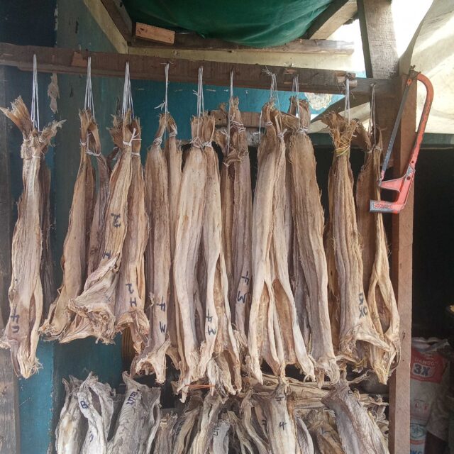 Fresh stock fish for sale at oyingbo market