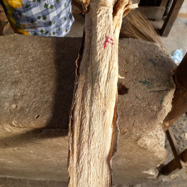 Stock fish and dried fish for sale at oyingbo market