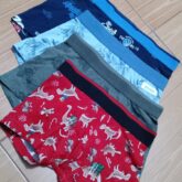 Children boxes, singlet and pant