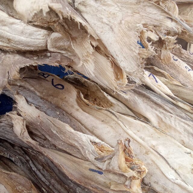 Stock fish for sale at oyingbo market