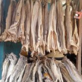 Fresh stock fish for sale at oyingbo market