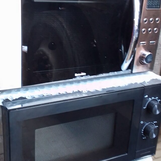 Professional microwave