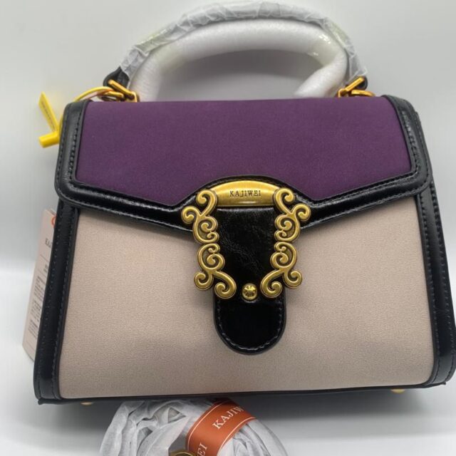 Luxury ladies bag