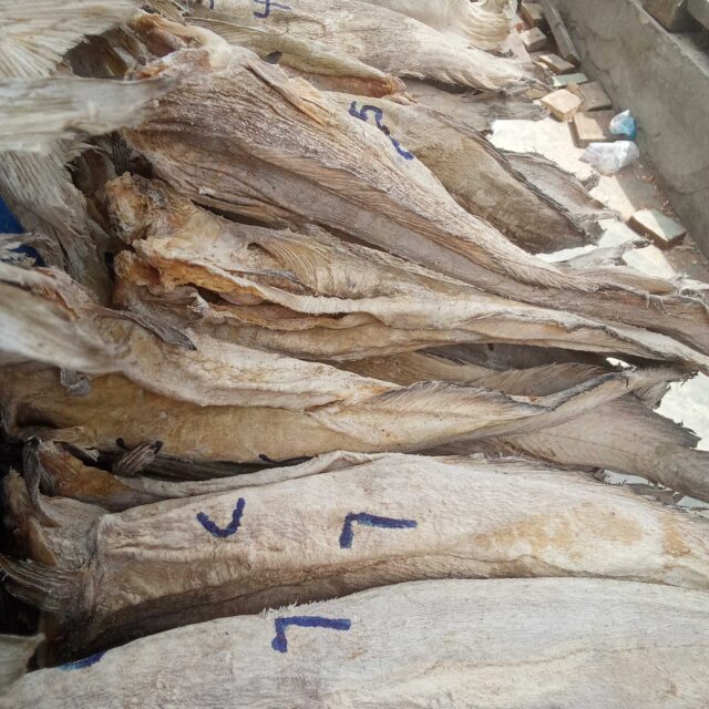 Stock fish for sale at oyingbo market