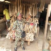 Fresh stock fish for sale at oyingbo market