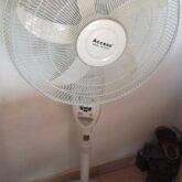 Solar fan available