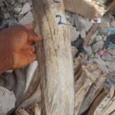 Dried fish and stock fish for sale at oyingbo market