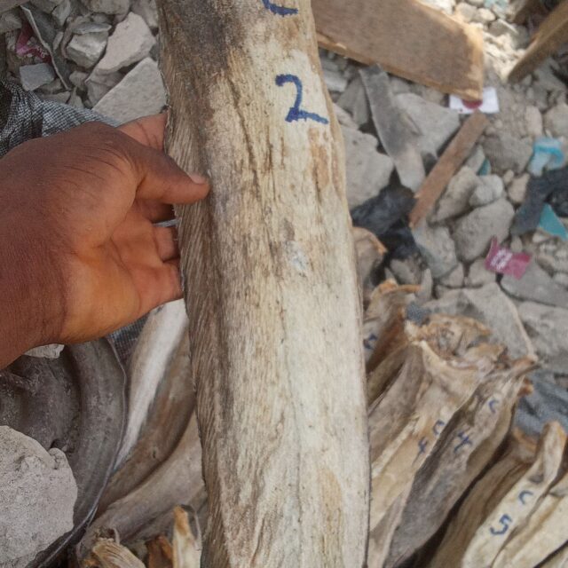 Stock fish for sale at oyingbo market