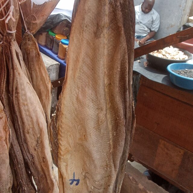 Dried fish and stock fish for sale at oyingbo market