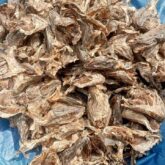 Stock fish for sale at oyingbo market