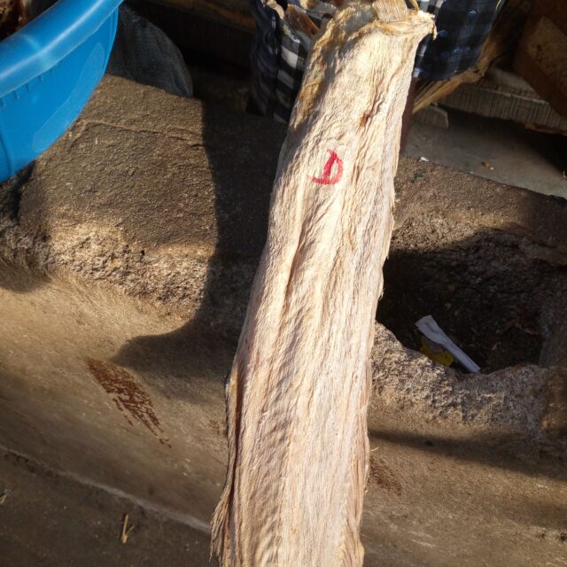 Stock fish and dried fish for sale at oyingbo market