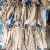 Fresh stock fish for sale at oyingbo market