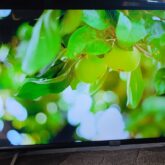 43 INCHES TCL SMART UHD LED TV