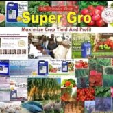 GNLD NEOLIFE SUPER GRO liquid fertilizers