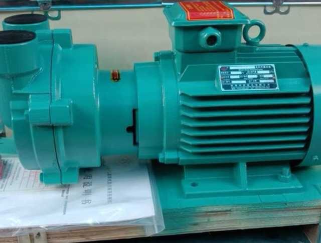 Watering vacuum pump