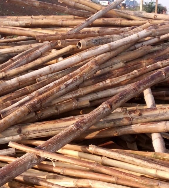 Bamboo Woods For Sale ikorodu itamaga