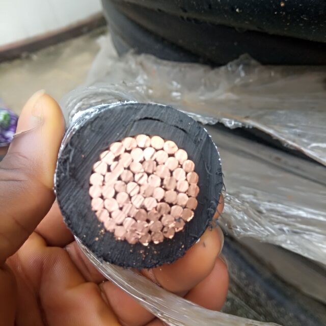 500mm single PVC/PVC Cable