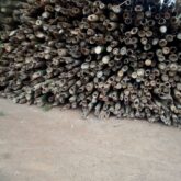 Strong Bamboo for Construction For Sell at Ikorodu