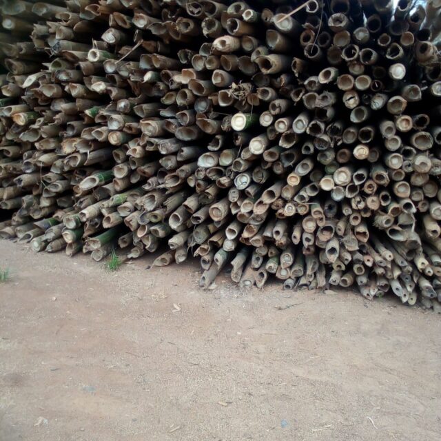 Strong Bamboo for Construction For Sell at Ikorodu