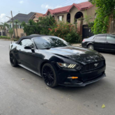 Italian Used Ferrari 480 for sale at Mushin