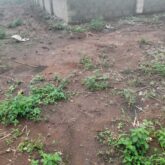 Land In Epe Lagos