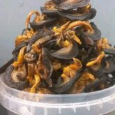 Dried snails for sale