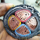 Armoured cable